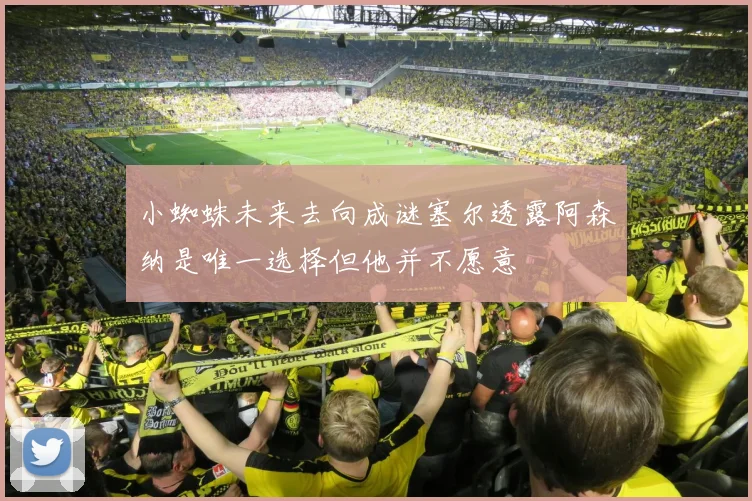 小蜘蛛未来去向成谜塞尔透露阿森纳是唯一选择但他并不愿意