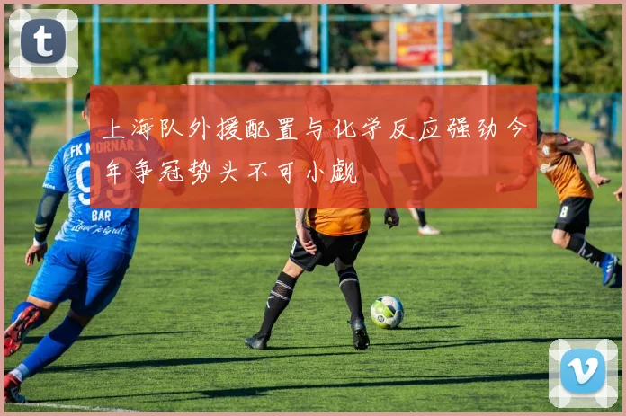 上海队外援配置与化学反应强劲今年争冠势头不可小觑