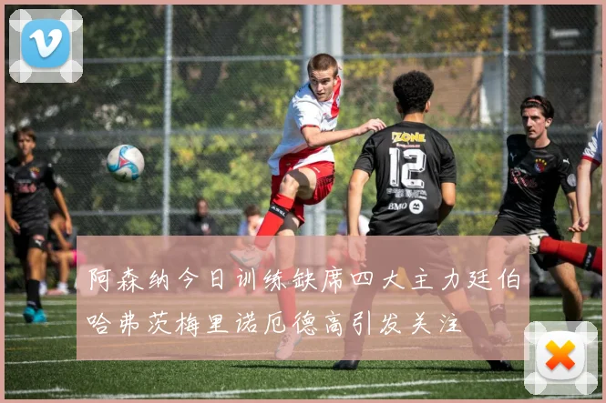 阿森纳今日训练缺席四大主力廷伯哈弗茨梅里诺厄德高引发关注